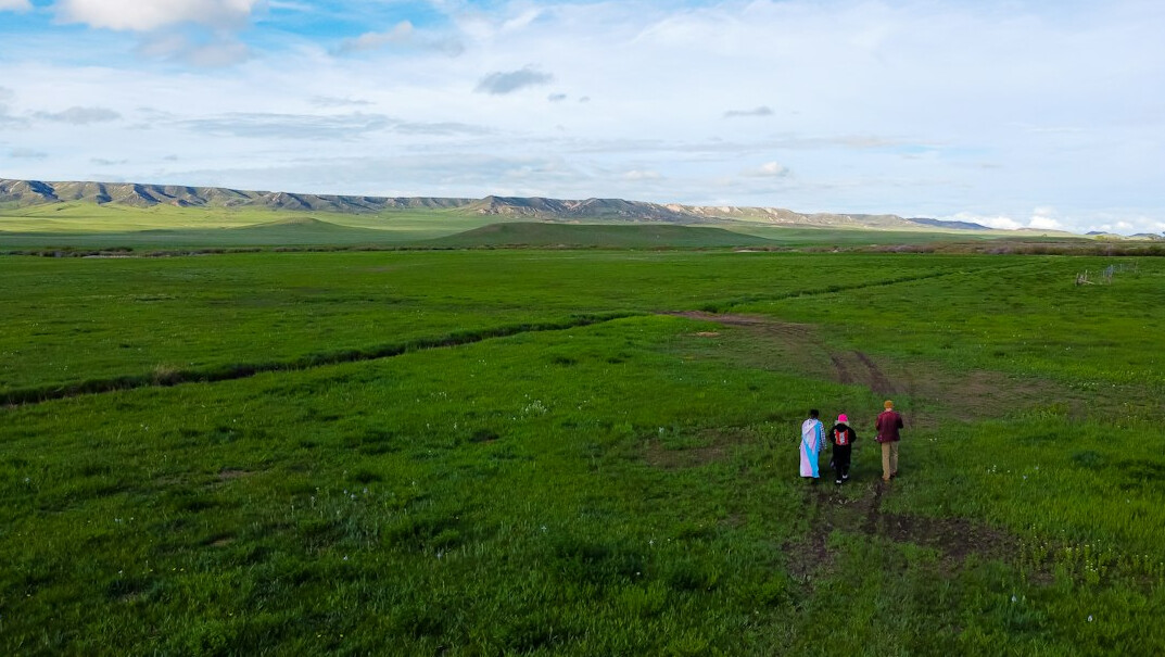 team of scientists in field